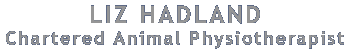 liz hadland chartered animal physiotherapist