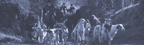 lizhadland.com: frequently asked questions