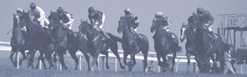 lizhadland.com: links